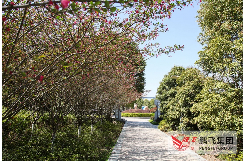 鵬飛文化廣場(chǎng)